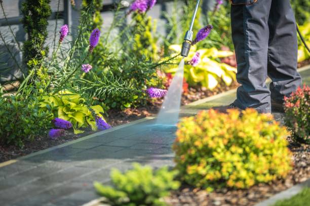 Best Patio and Deck Pressure Washing  in Juneau, AK